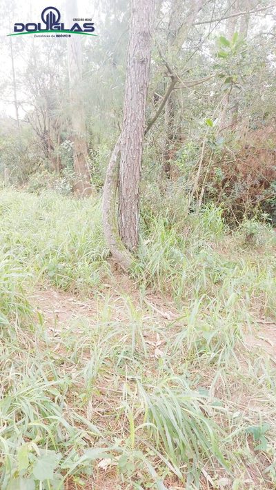 Terreno - Foto 3