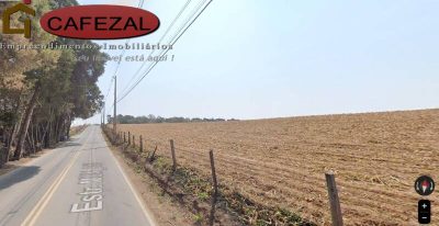Depósito-Galpão - Foto 3
