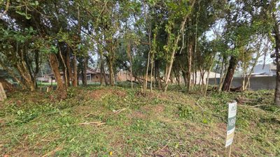 Terreno, 384 m² - Foto 3
