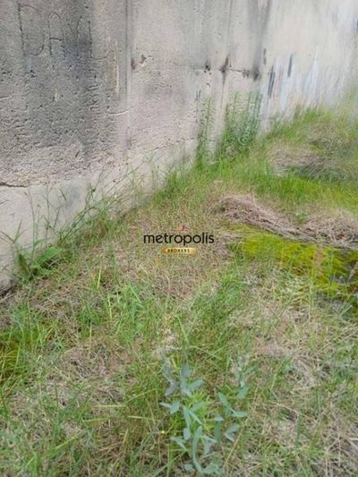 Terreno, 125 m² - Foto 4