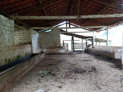 Fazenda, 10000 m² - Foto 4