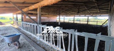 Fazenda, 5 hectares - Foto 4