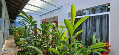 Casa, 6 quartos, 263 m² - Foto 4