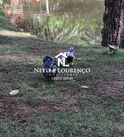 Terreno, 200 m² - Foto 2