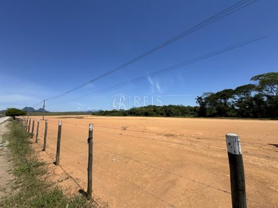 Terreno, 4 hectares - Foto 3