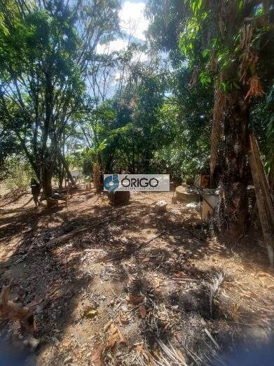 Terreno, 5000 m² - Foto 5