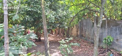 Casa, 8 quartos, 881 m² - Foto 1