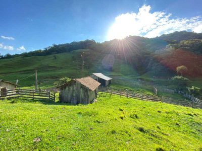 Fazenda, 206000 hectares - Foto 4