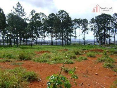 Terreno, 8163 m² - Foto 4