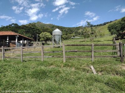 Fazenda, 150 hectares - Foto 5
