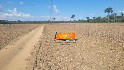 Fazenda, 192 hectares - Foto 3