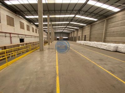 Depósito-Galpão, 5552 m² - Foto 3