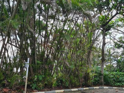 Terreno, 460 m² - Foto 4