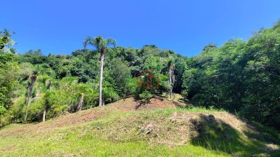 Sítio, 4 hectares - Foto 4