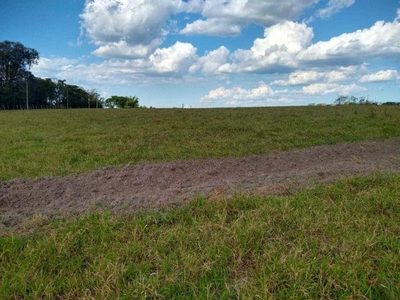 Terreno, 24 hectares - Foto 3