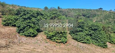 Chácara, 1 quarto, 32 hectares - Foto 4