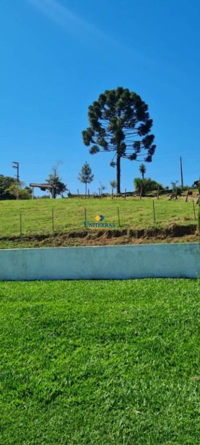 Chácara, 3 quartos, 3 hectares - Foto 3