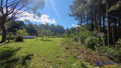 Terreno, 299 m² - Foto 4