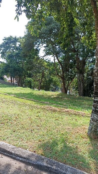 Terreno, 1000 m² - Foto 4
