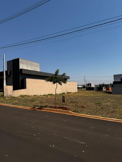 Terreno, 250 m² - Foto 3