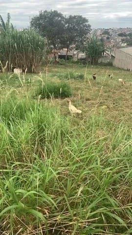 Terreno, 137 m² - Foto 2