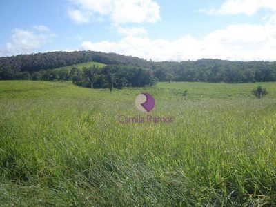Terreno, 19 hectares - Foto 2