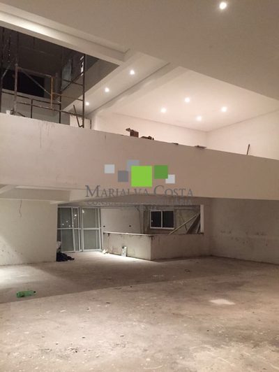 Casa, 4 quartos, 450 m² - Foto 4