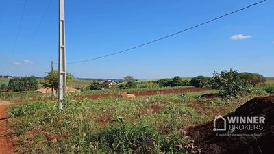 Chácara, 1 quarto, 2500 m² - Foto 3