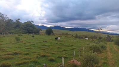 Fazenda, 169 hectares - Foto 1