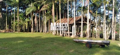 Terreno, 5000 m² - Foto 1