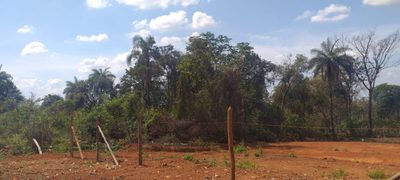 Chácara, 1 quarto, 1000 m² - Foto 2