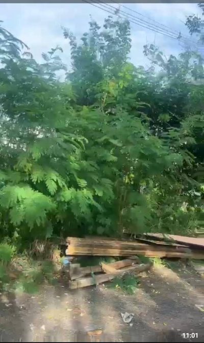 Terreno, 7000 m² - Foto 5