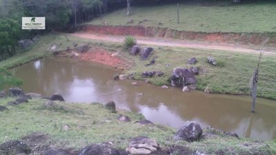 Terreno, 12 hectares - Foto 4