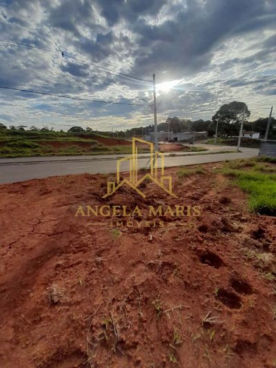 Terreno, 250 m² - Foto 5