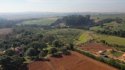 Terreno, 10 hectares - Foto 3