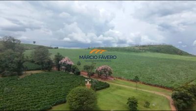 Fazenda, 796 hectares - Foto 3