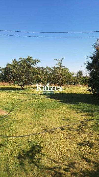 Chácara, 4 quartos, 2 hectares - Foto 3