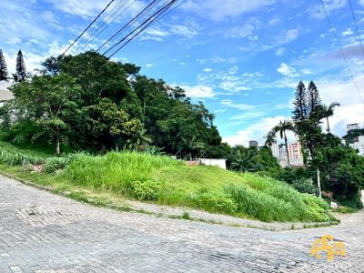 Terreno, 1078 m² - Foto 4