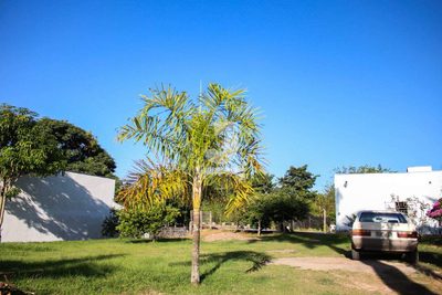 Chácara, 2 quartos, 1650 m² - Foto 4