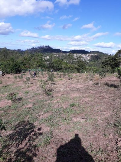 Terreno, 3 hectares - Foto 3