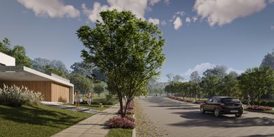 Terreno, 306 hectares - Foto 3