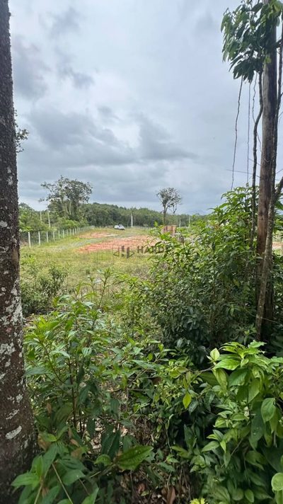 Terreno, 2400 m² - Foto 5