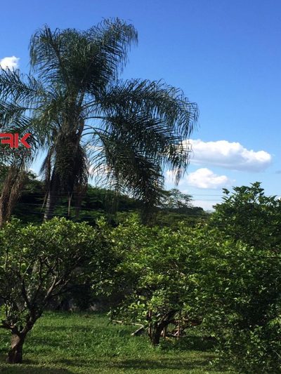 Chácara, 4 quartos, 2543 m² - Foto 2