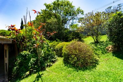 Terreno, 5000 m² - Foto 4