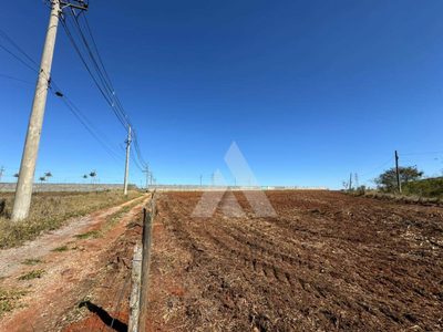 Terreno, 4300 m² - Foto 3