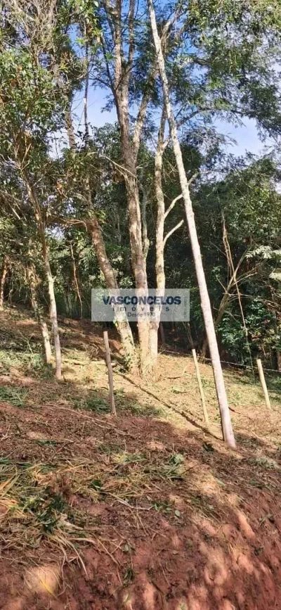 Terreno, 500 m² - Foto 4