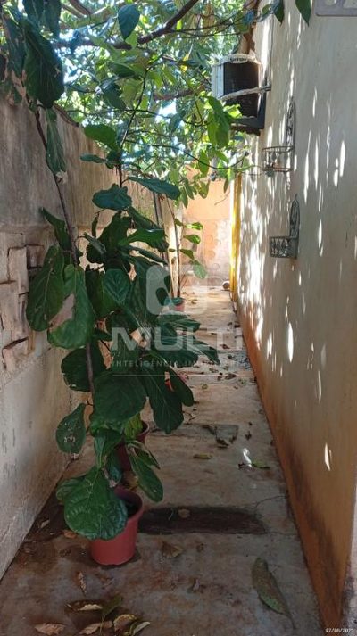 Casa, 3 quartos, 269 m² - Foto 1