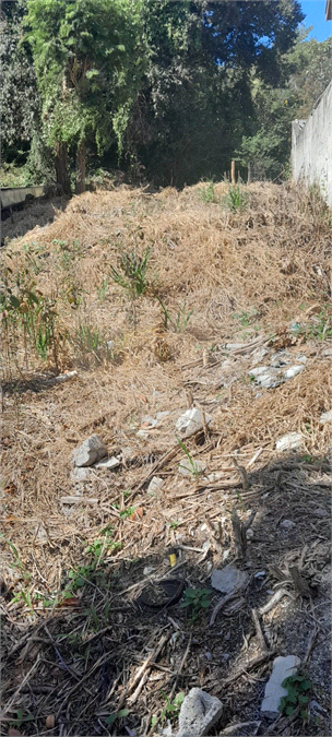 Terreno, 230 m² - Foto 5