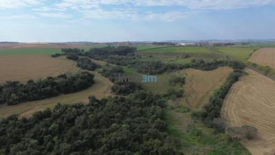 Sítio, 1 quarto, 66 hectares - Foto 5