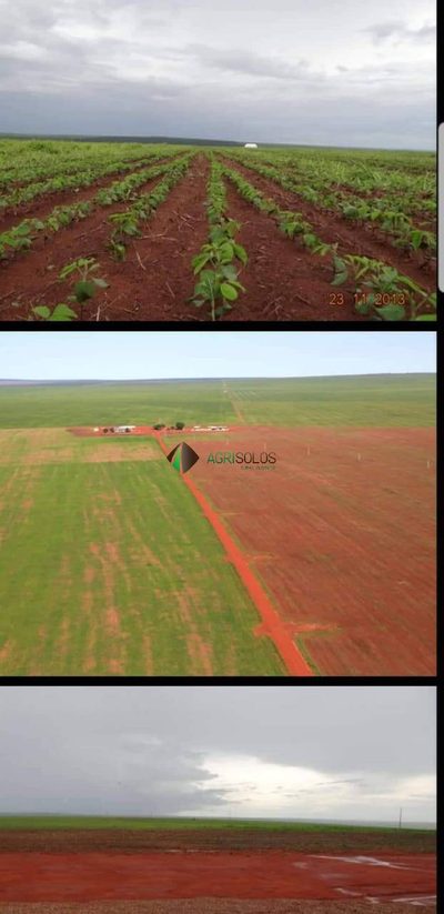 Terreno, 2 hectares - Foto 3